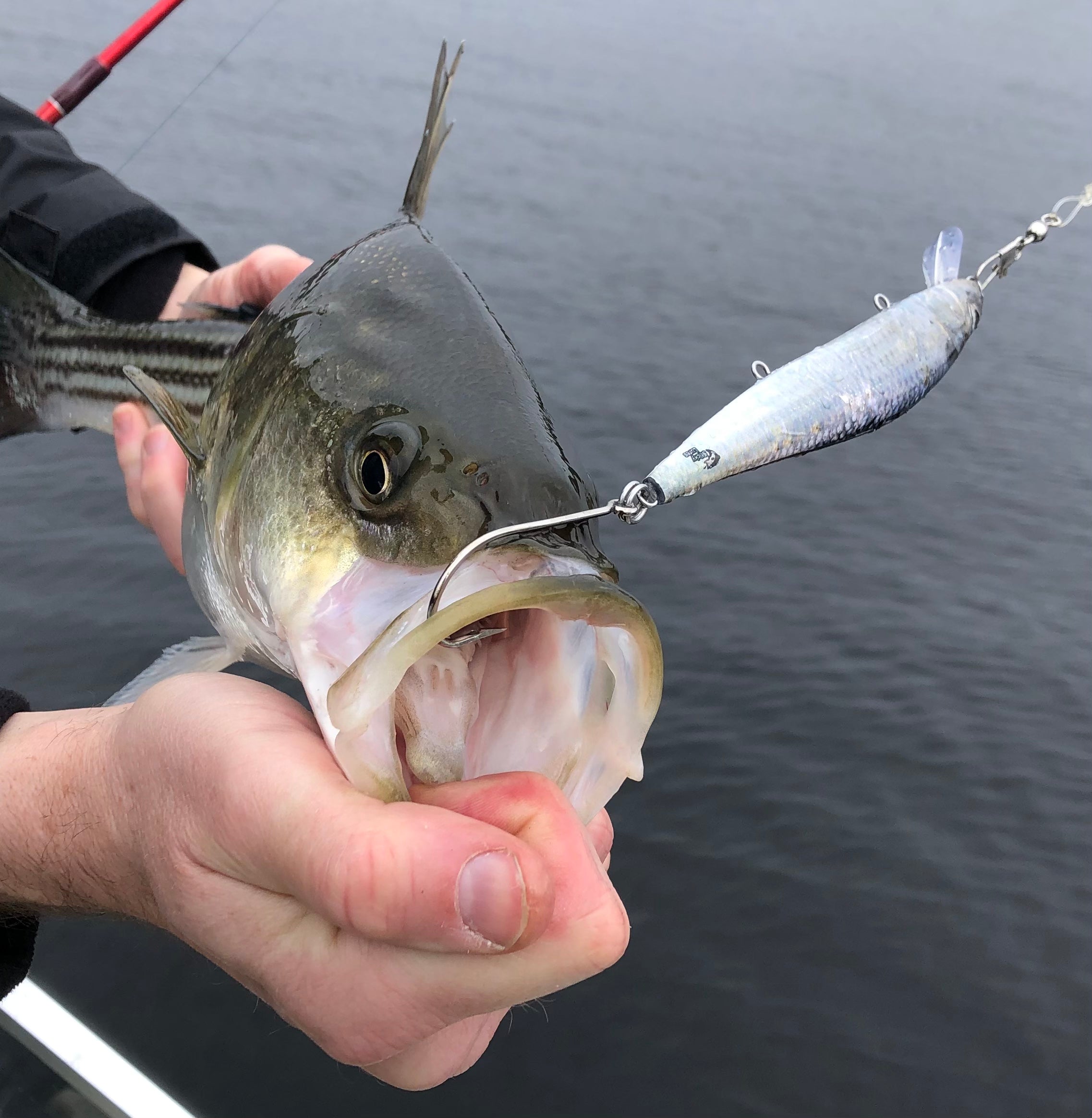 Stickylures-fishing lures