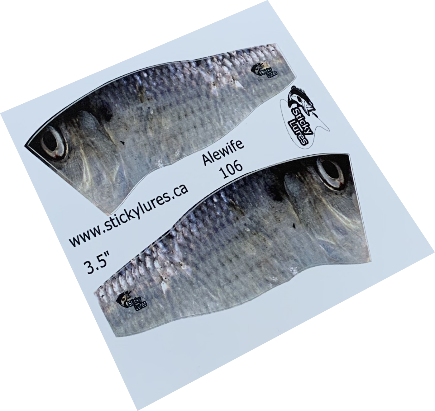 Popper Minnow Alewife Sticky - SA106