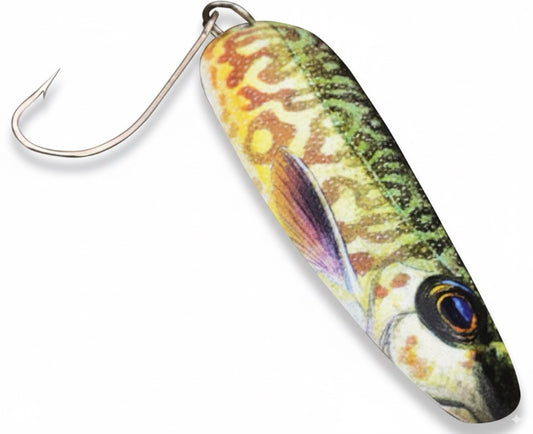 Cuillère de pêche Tigry 312