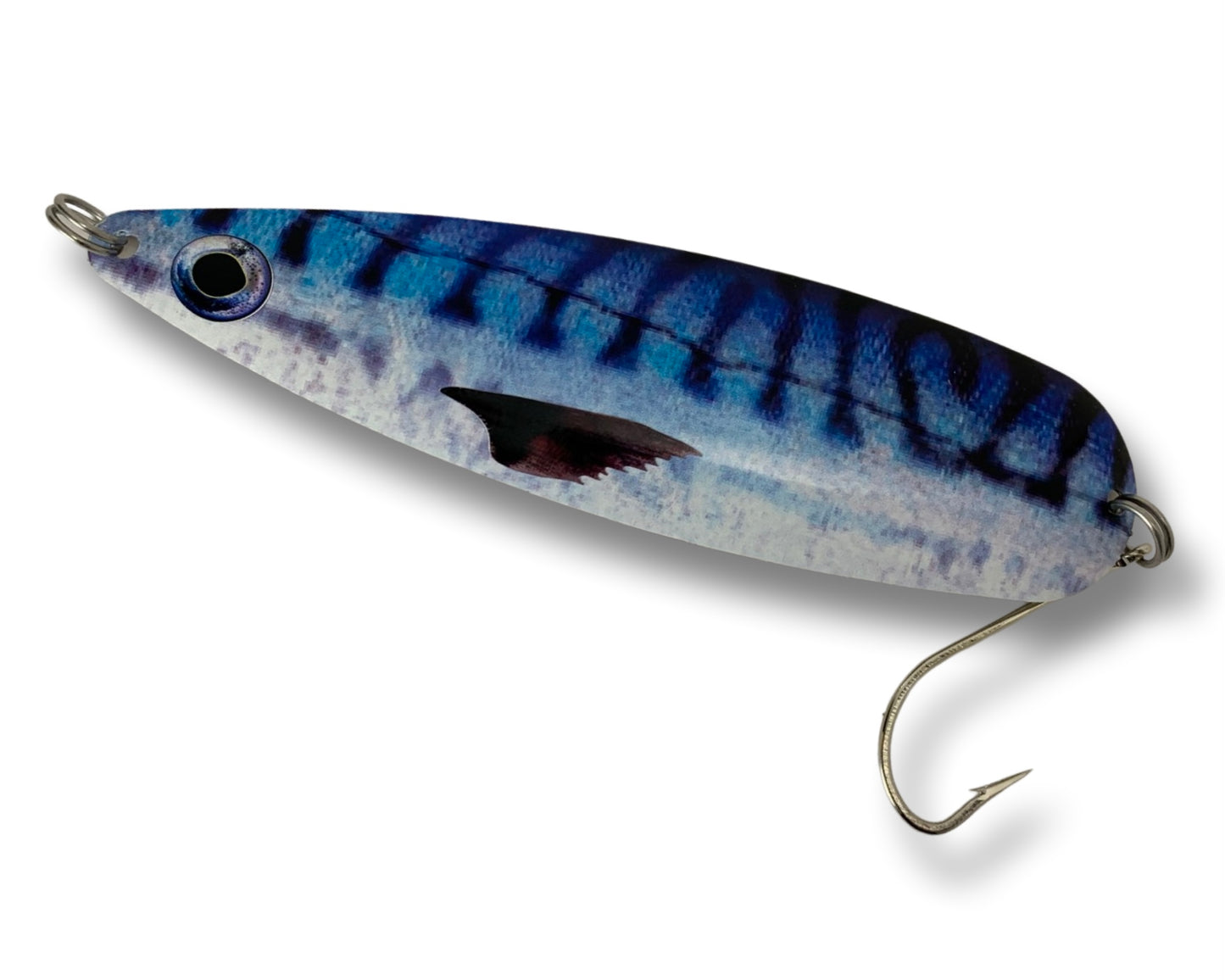 MK- Mackerel - Series512