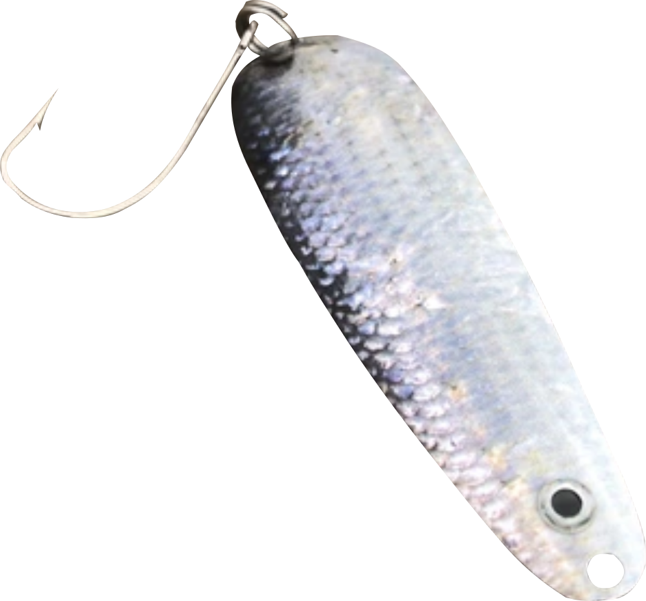 Gaspy 312 Fishing Spoon