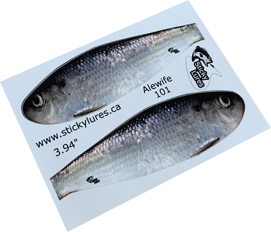 Fishing Lure Stickers