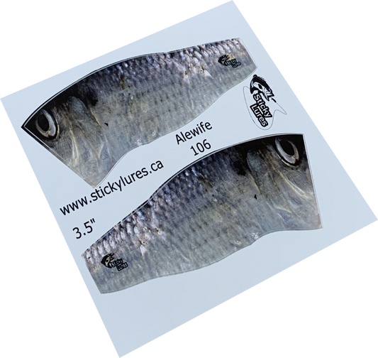 Popper Minnow Alewife Sticky - SA106