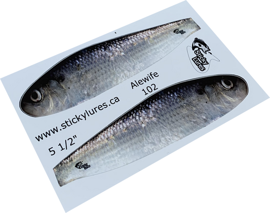 Jerkbait Minnow Alewife Sticky - SA102